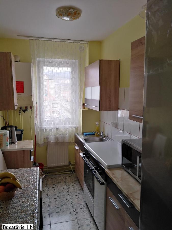 Apartament Salina Bulevard Alba Iulia Exterior photo